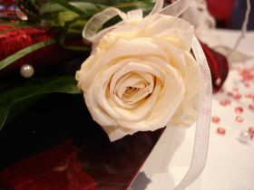 DSC02815.jpg